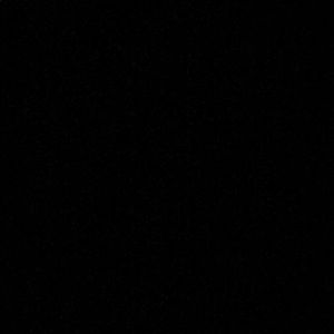 Meet your Posher, Nelly